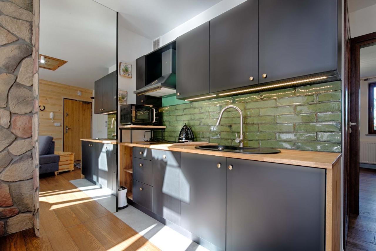 Apartament Biala Roza Zakopane Extérieur photo